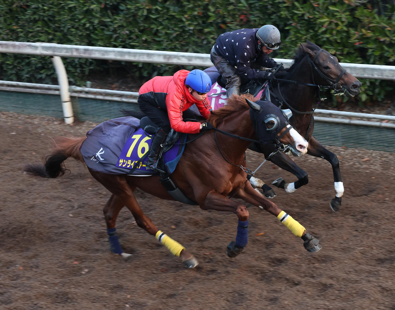 ニュース一覧 - ドコモ「spモード」版 日刊スポーツ競馬