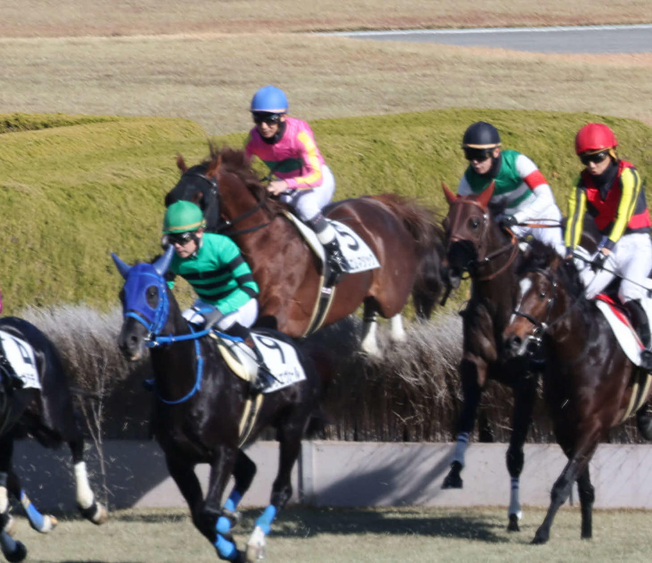 ニュース一覧 - ドコモ「spモード」版 日刊スポーツ競馬