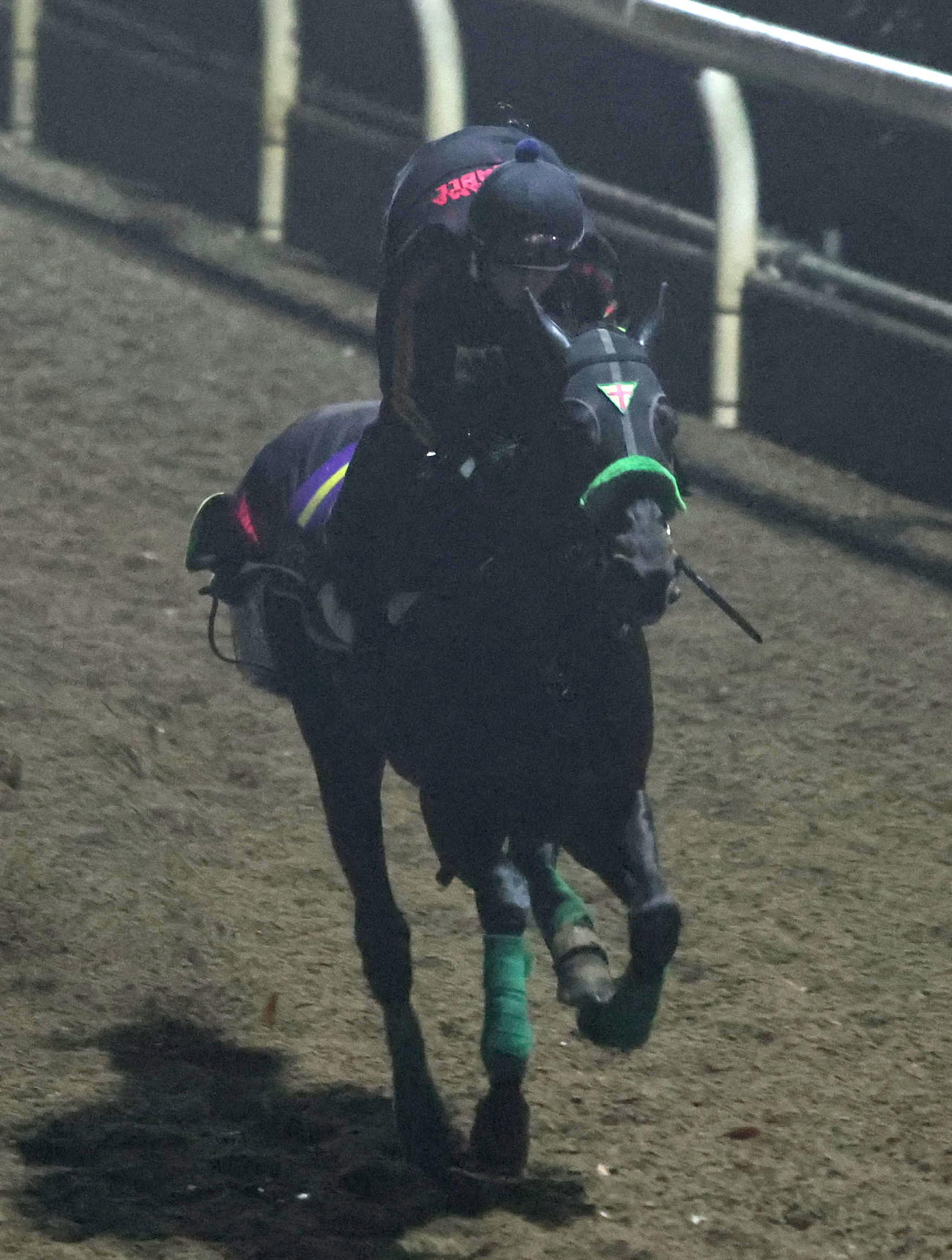 ニュース一覧 - ドコモ「spモード」版 日刊スポーツ競馬