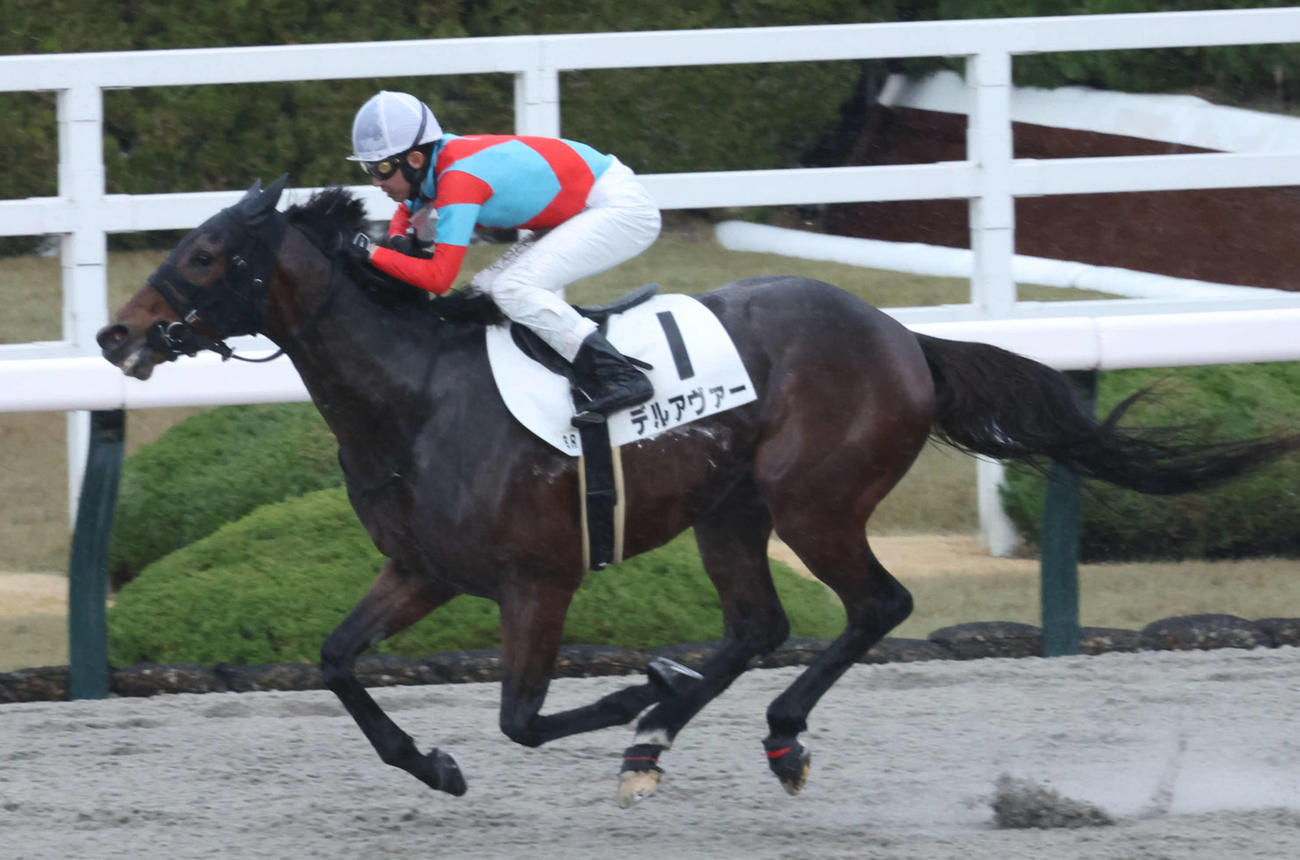 ニュース一覧 - ドコモ「spモード」版 日刊スポーツ競馬